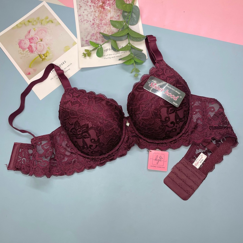 Áo lót ren nữ có gọng nâng ngực , áo ngực đệm mỏng quả to 2465