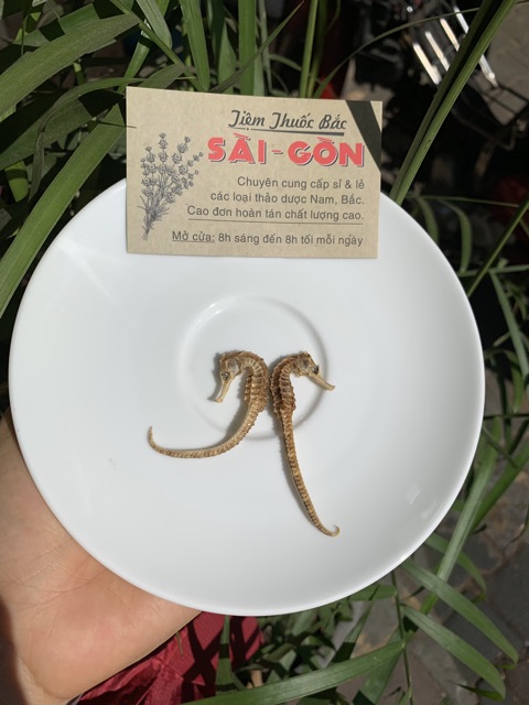 Cá Ngựa Khô 2 con (Đực - Cái)