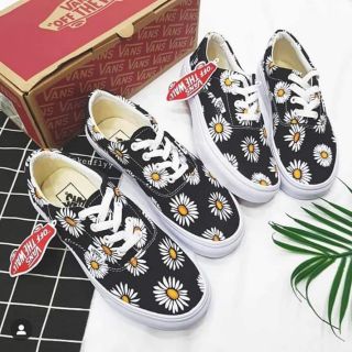 Vans classic hoa cúc