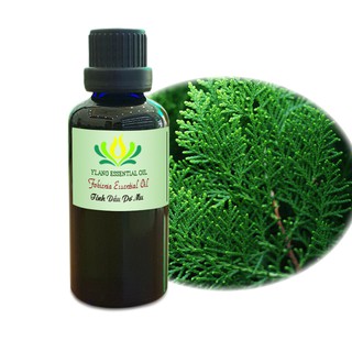 Tinh dầu Pơ mu (Hinoki) - 100ml