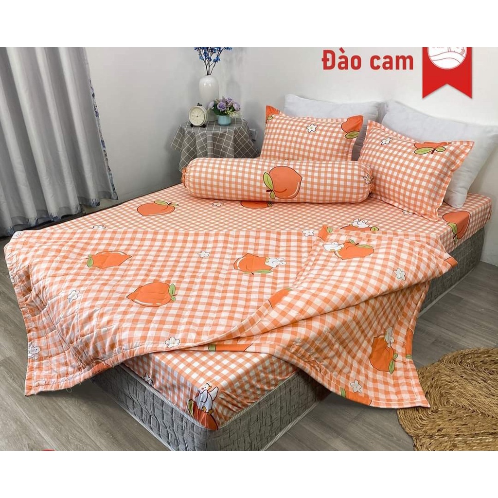 Bộ chăn hè ga gối kèm vỏ gối ôm 5 món 1m2x2m-có chọn mẫu