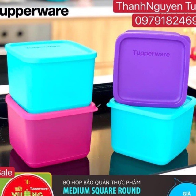 Tupperware - Bộ 4 hộp bảo quản thực phẩm Medium Summer Fresh (đủ 4 màu như hình)