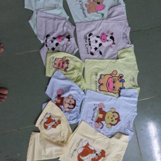 combo 2 bộ catter cộ tay quần sóc
