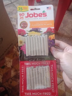 Phân que jobes
