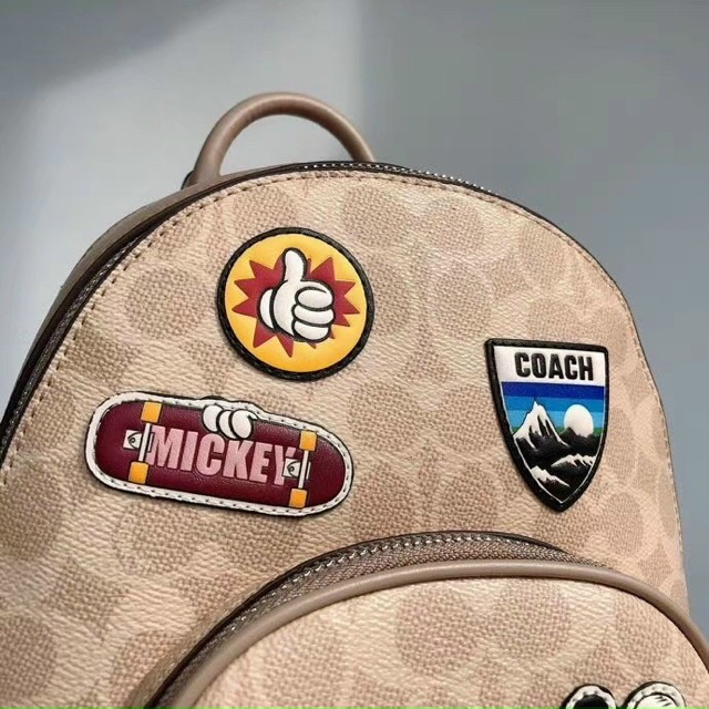 BALO COACH HADODISNEY 3892