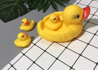 đàn vịt 1 mẹ 3 con thả bồn tắm cho bé