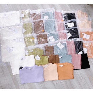 Áo thun croptop gân