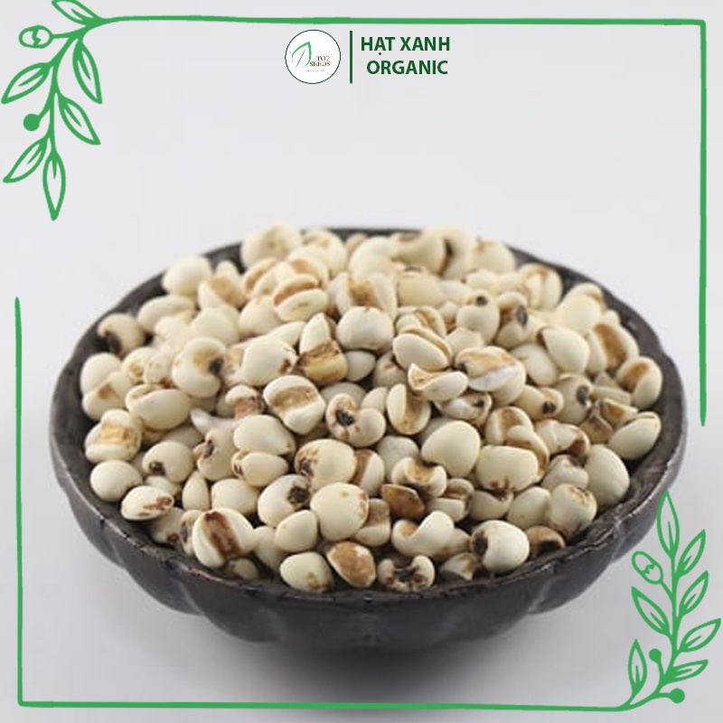 Hạt Ý Dĩ, Hạt Bo Bo Đã Tách Vỏ Dùng Nấu Chè, Nấu Cháo Ăn Dặm 500g