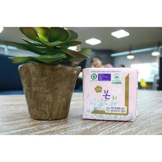 BĂNG VỆ SINH HỮU CƠ HÀNG NGÀY HÀN QUỐC