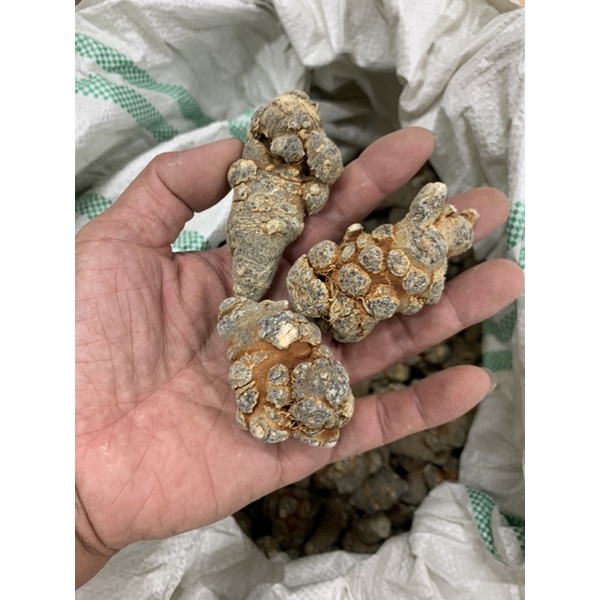 CỦ TAM THẤT BẮC LOẠI KHÔ HÀNG CHÍNH GỐC TRUNG QUỐC BÁN HÀNG UY TÍN