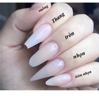 [MẪU TRENDY] NAILBOX MÓNG ÚP THIẾT KẾ THEO YÊU CẦU