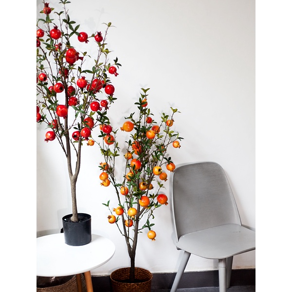 Cây lựu màu đỏ trang trí nhà cửa / Jassi Decor