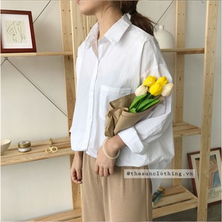 Áo sơ mi trắng (ảnh thật)