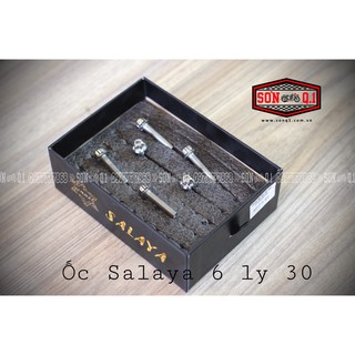Ốc Inox Salaya 6ly30 (1 con)