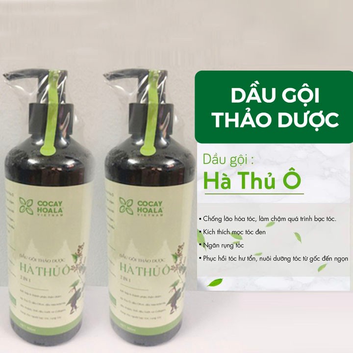 DẦU GỘI THẢO DƯỢC HÀ THỦ Ô 2 IN 1 800ML – TD746