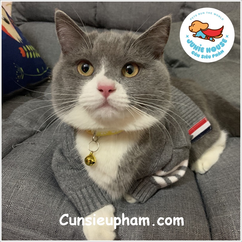 Áo len cardigan T.B xám sang trọng đồ Tết cho chó mèo