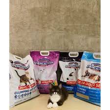 Cát 10L American Litter