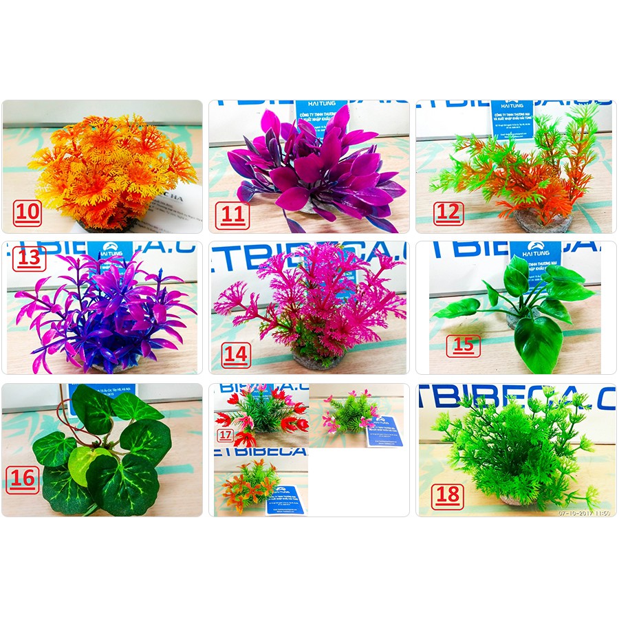 Tặng Thêm 1 Cây Nhựa Thấp Khi Mua Combo 5 Cây Nhựa Thấp Trang Trí Bể Cá