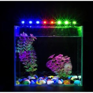 Đèn led chìm hồ cá 120cm