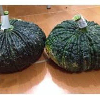 Hạt giống bí đỏ da cóc