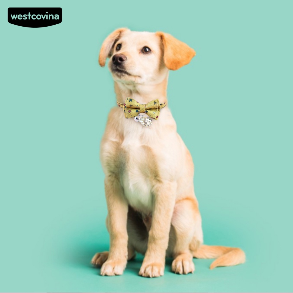 Vòng Cổ An Toàn Thoáng Khí Có Khóa Dễ Thương Cho Thú Cưng