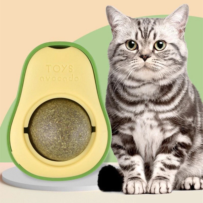 Viên catnip dán tường trái bơ cho mèo