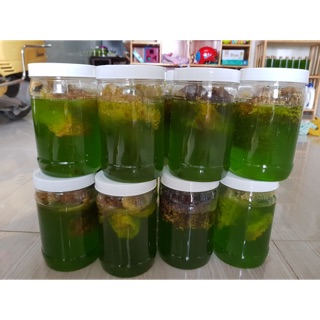 Sáp và mật ong hoa bạc hà - hủ 1kg