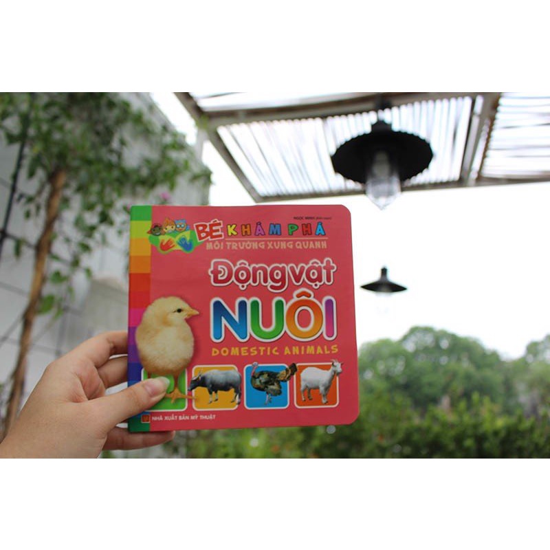 Sách - Bé khám phá môi trường xung quanh - Bộ 8 chủ đề - ML-GD08