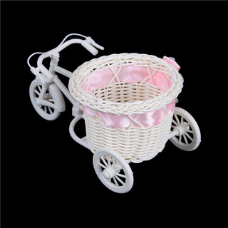 Bộ 2 Bình Hoa Dạng Bện Hình Xe Đạp Lãng Mạn