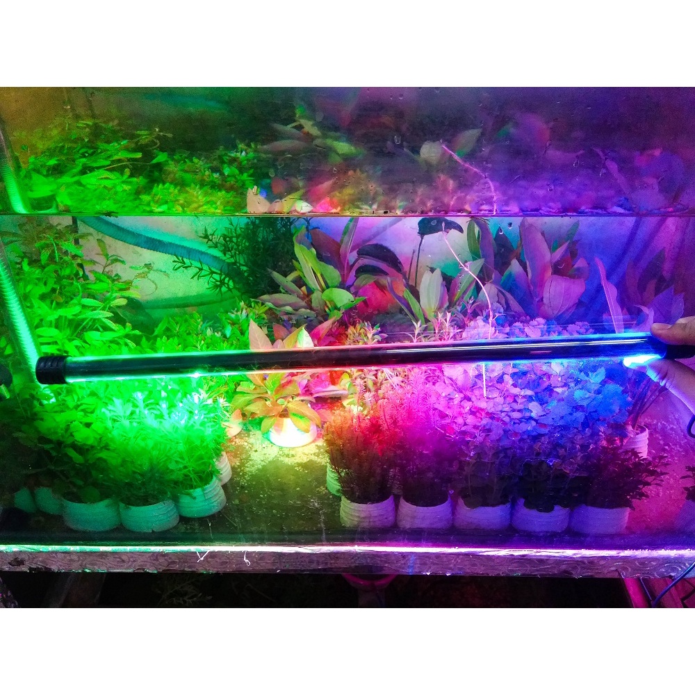 Đèn Led Hồ Cá 3 Màu/ Xanh/Hồng T4-600Led (53cm)
