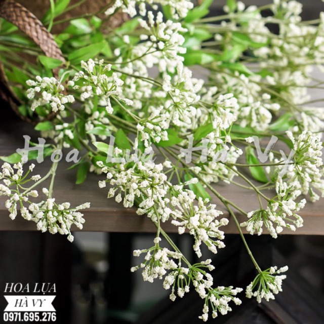 Hoa lụa | HOA TAM GIÁC MẠCH NEW