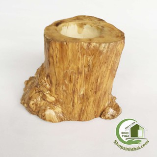 Lọ hoa - chậu cây bằng gỗ gốc cây được mài nhẵn vỏ