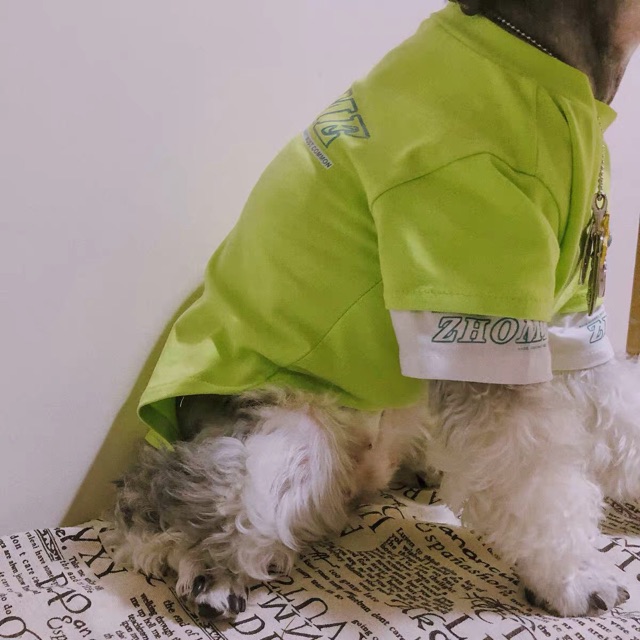 ÁO THUN COOL NGẦU - CAO CẤP CHO CHÓ MÈO