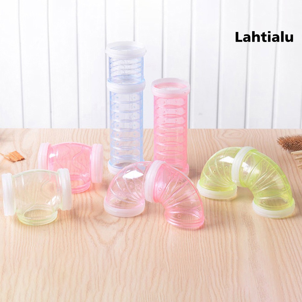 Đường Hầm Trong Suốt Dành Cho Chuột Hamster Leo Trèo