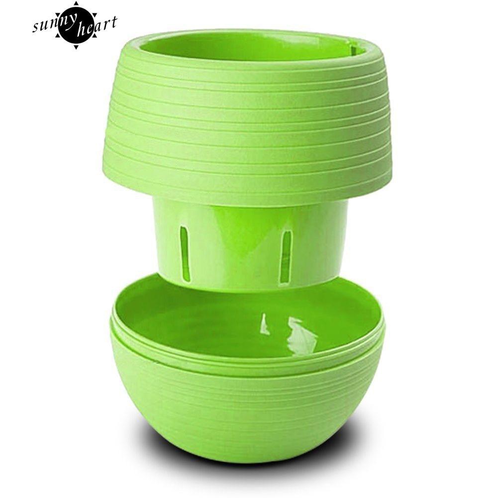 Chậu cây mini có đế hứng nước