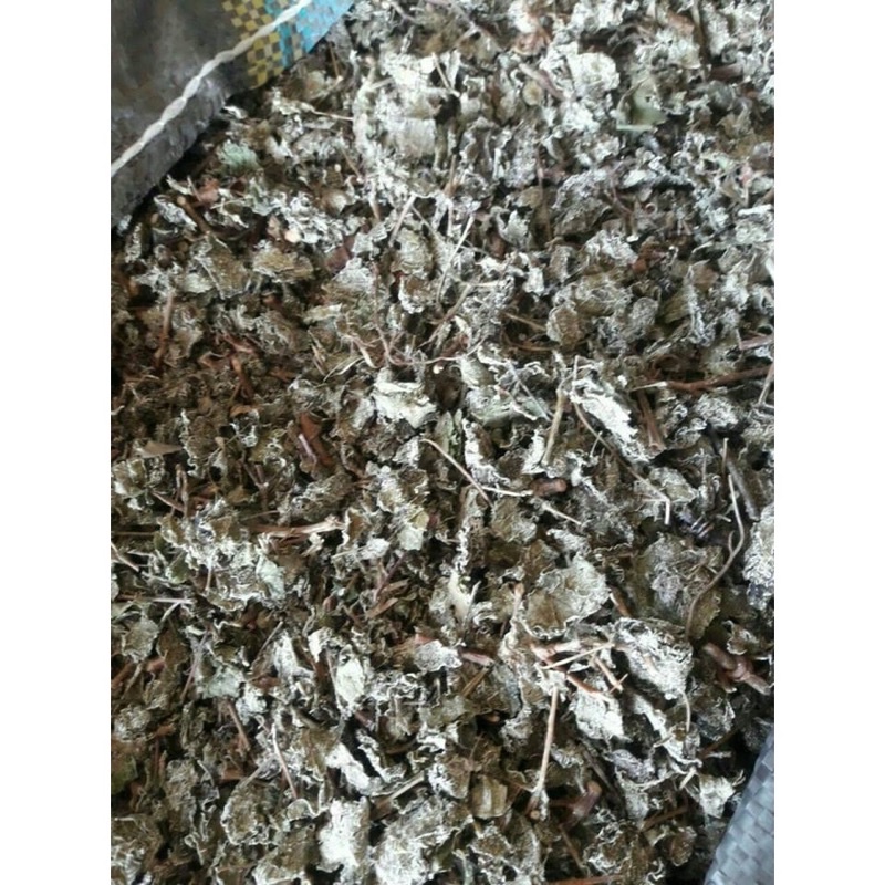 1 Kg Chè dây chuẩn Cao Bằng xịn tốt nhất