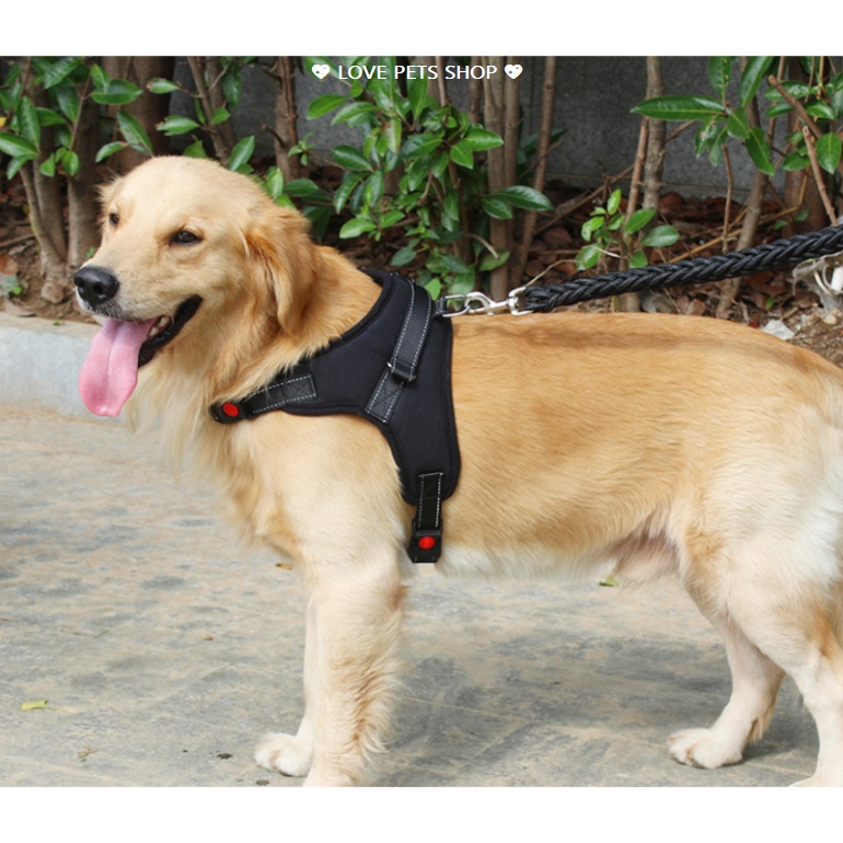 ĐAI YẾM NGỰC CHO CHÓ CÓ ĐỆM LƯNG (KHÔNG CÓ DÂY DẮT) - LOVE PETS SHOP