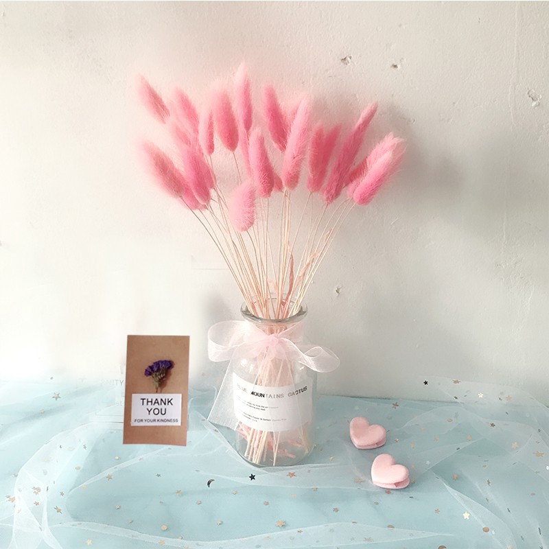 Lọ hoa Bunny Tails khô decor xinh xinh