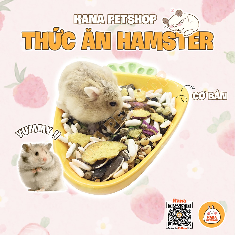 Thức Ăn Hamster 🐹FREESHIP🐹 Đồ Ăn Cơ Bản Không Chất Bảo Quản, Phụ Gia Hamster , Sóc .....