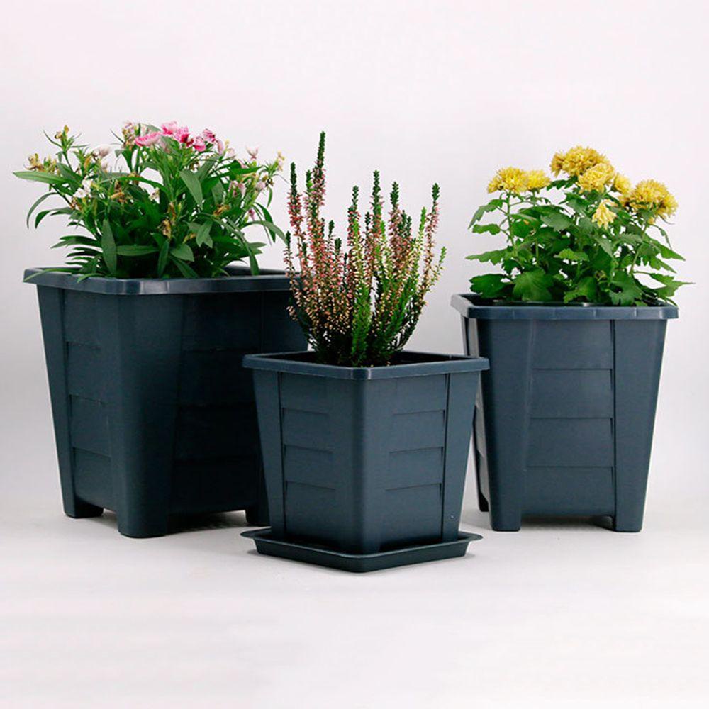 Khay Trồng Cây Cảnh Thiết Kế Độc Đáo Tiện Dụng