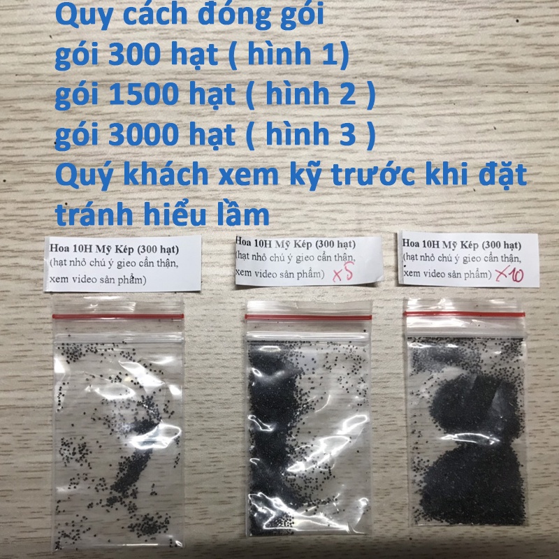 SALE 1K - hạt giống hoa mười giờ Mỹ kép nhiều màu sai hoa nở sớm lâu tàn túi zip