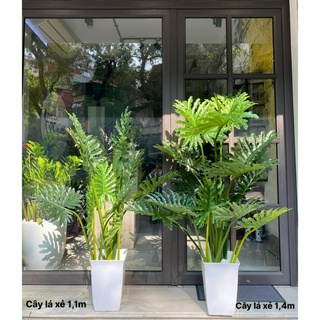 Cây giả - cây lá xẻ 1,1m và 1,4m