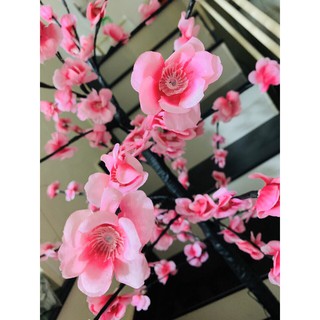 Cây hoa mai hoa đào đèn led 1 chế độ