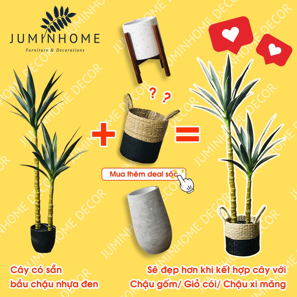 Cây giả, thiết mộc lan giả, phát tài núi - Cây giả decor trang trí nhà cửa nội thất phòng khách phòng ngủ