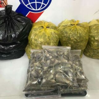 Khô cá sặc điệp ( 1kg)