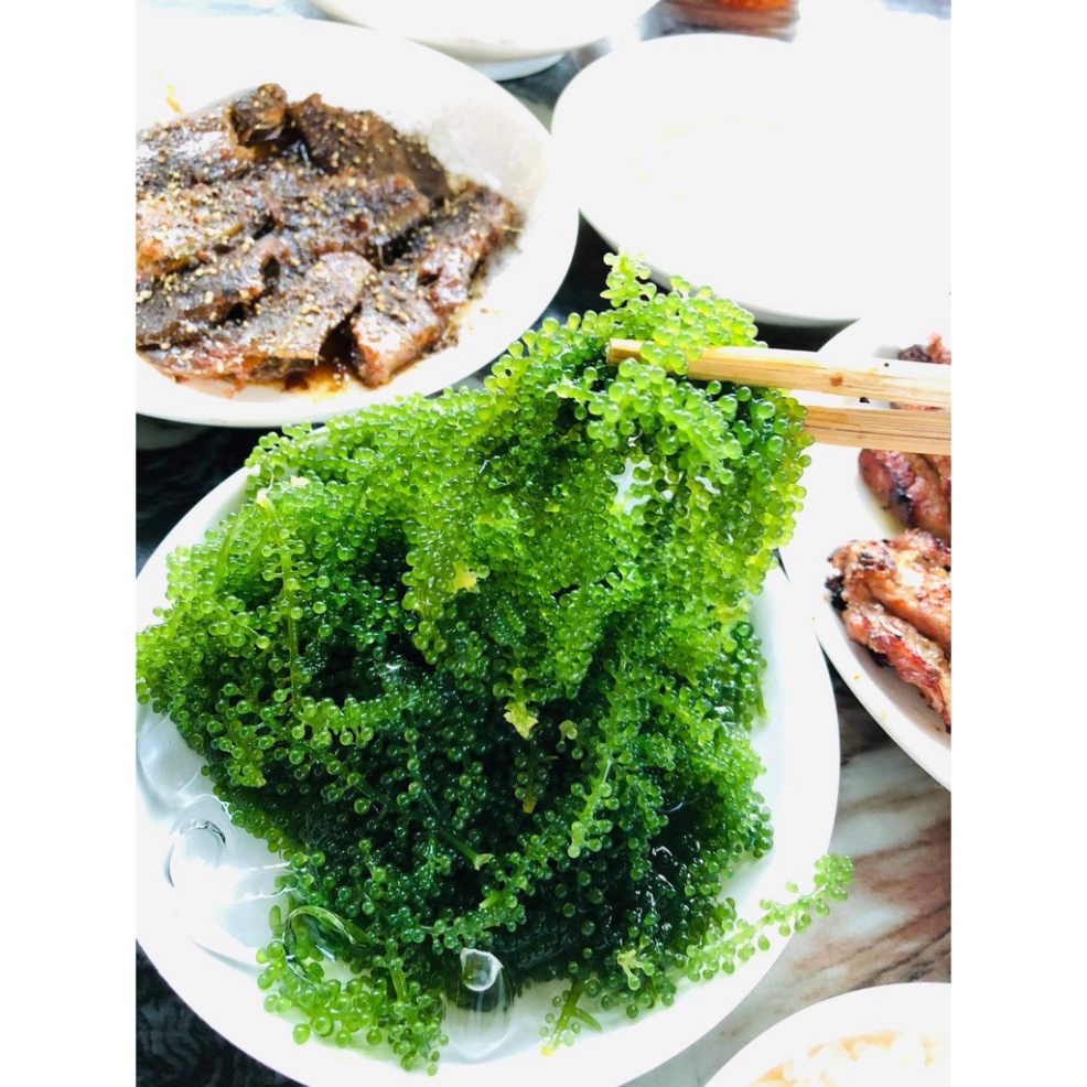 [Quà tặng là dây cột tóc] Rong nho Green food gói 100 gram cam kết chính hãng nở ra rong tươi giòn ngon