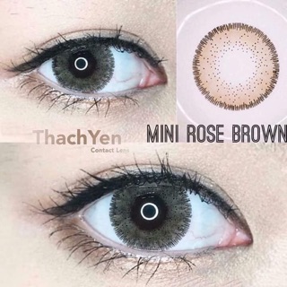Combo sỉ lens( ib chọn mẫu)