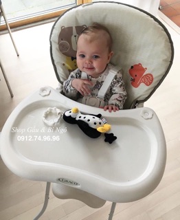 Ghế ăn cao cấp Graco Tea Time