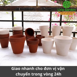 combo 10 chậu đất nung trắng kích thước 6.5x6.5cm