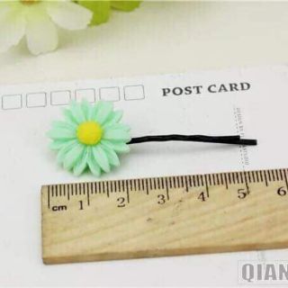 Kẹp hoa cúc màu sắc